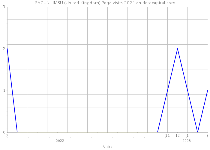 SAGUN LIMBU (United Kingdom) Page visits 2024 