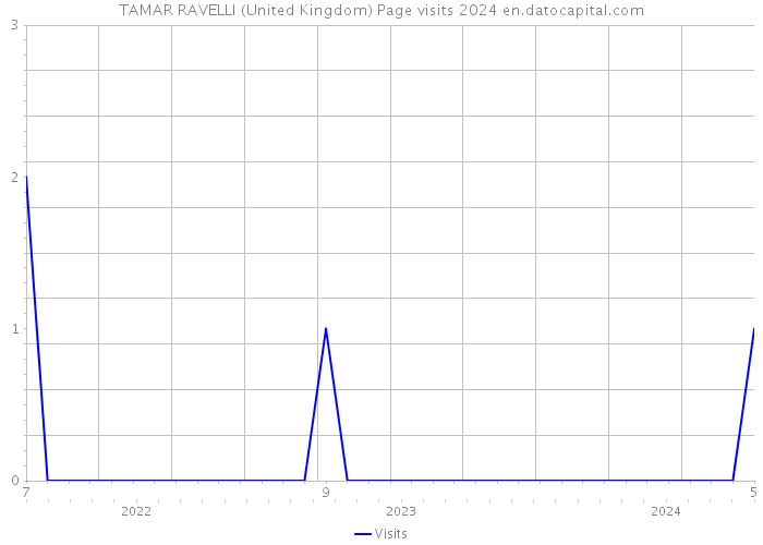 TAMAR RAVELLI (United Kingdom) Page visits 2024 