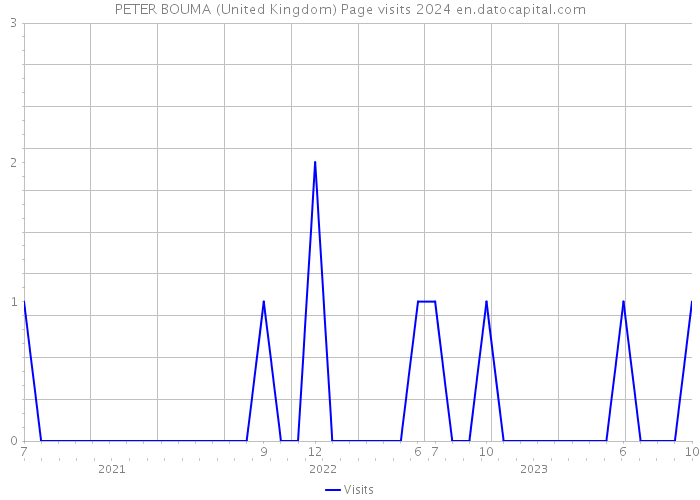 PETER BOUMA (United Kingdom) Page visits 2024 