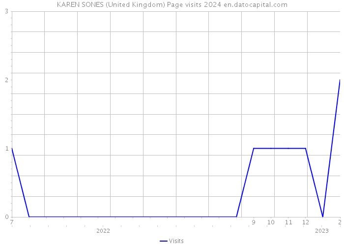 KAREN SONES (United Kingdom) Page visits 2024 