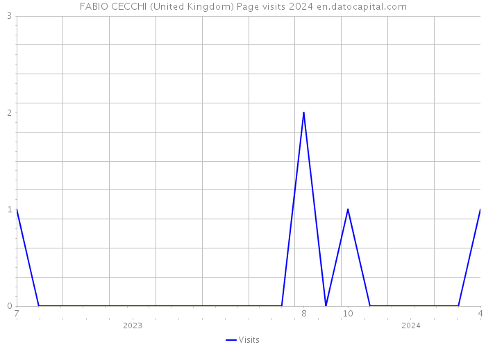 FABIO CECCHI (United Kingdom) Page visits 2024 