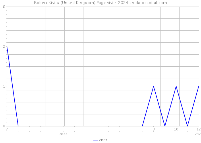 Robert Kisitu (United Kingdom) Page visits 2024 