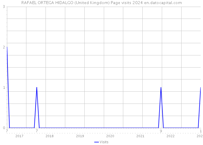 RAFAEL ORTEGA HIDALGO (United Kingdom) Page visits 2024 
