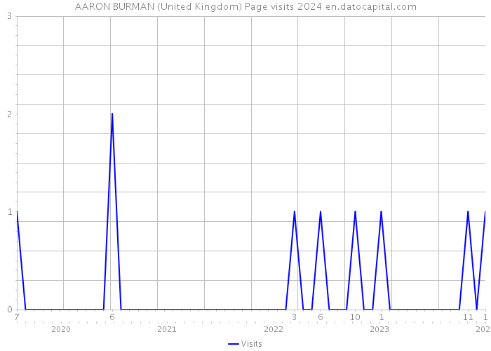AARON BURMAN (United Kingdom) Page visits 2024 