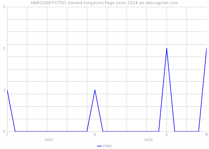 NARCISSE FOTSO (United Kingdom) Page visits 2024 