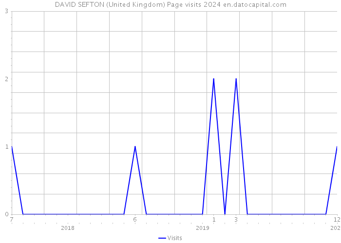 DAVID SEFTON (United Kingdom) Page visits 2024 