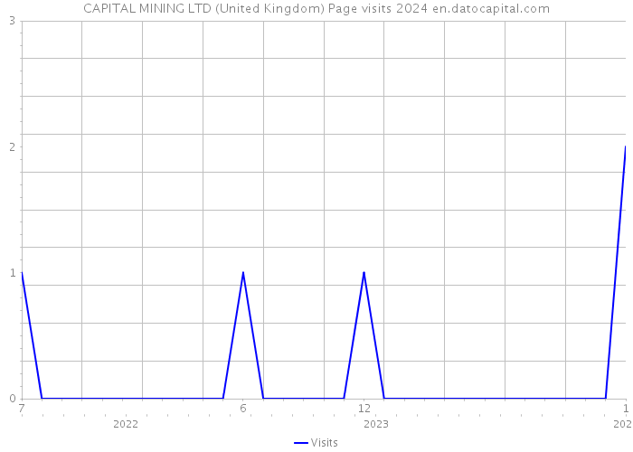 CAPITAL MINING LTD (United Kingdom) Page visits 2024 