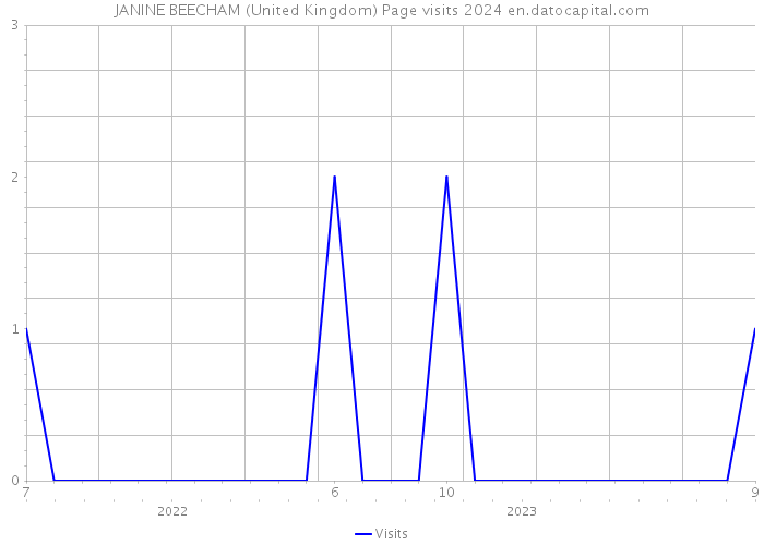 JANINE BEECHAM (United Kingdom) Page visits 2024 