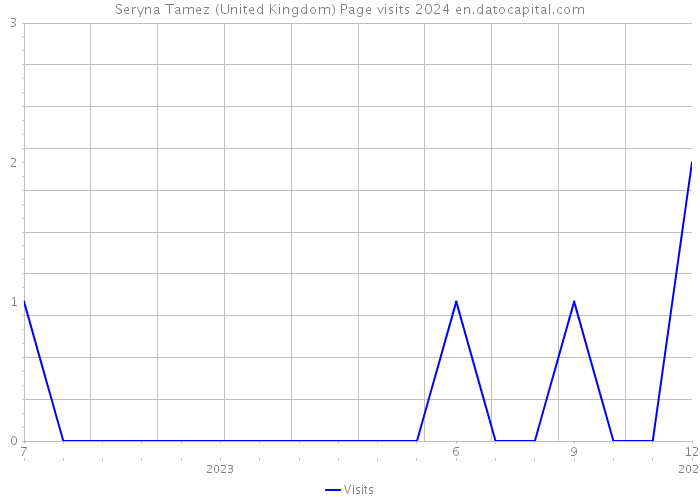Seryna Tamez (United Kingdom) Page visits 2024 