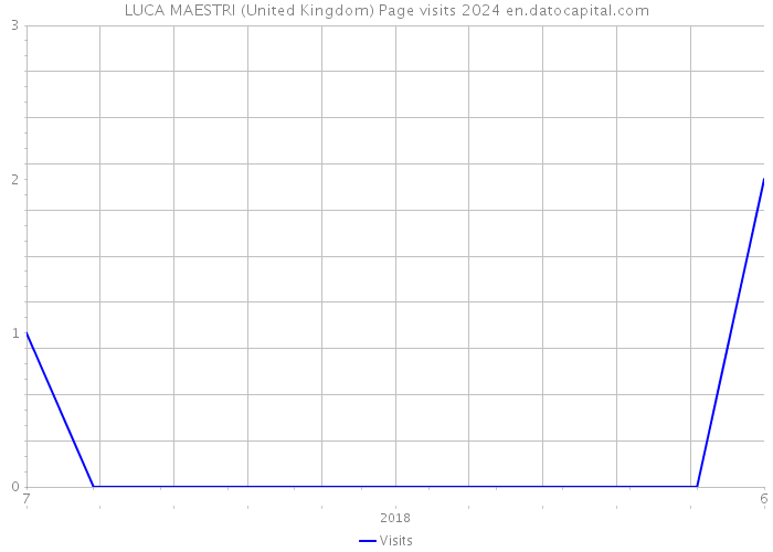 LUCA MAESTRI (United Kingdom) Page visits 2024 