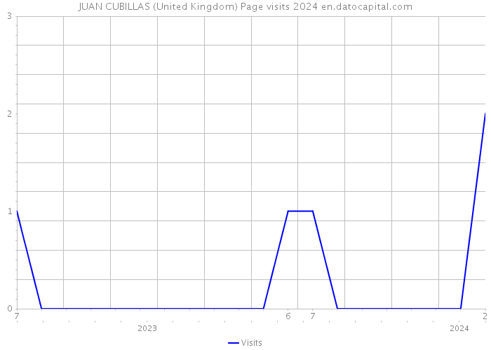 JUAN CUBILLAS (United Kingdom) Page visits 2024 