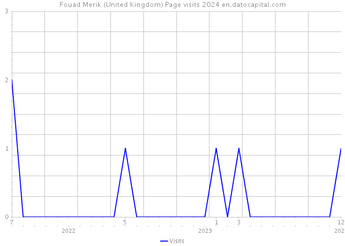 Fouad Merik (United Kingdom) Page visits 2024 