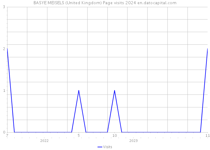 BASYE MEISELS (United Kingdom) Page visits 2024 