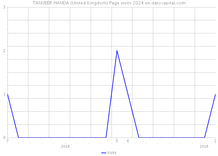 TANVEER HANDA (United Kingdom) Page visits 2024 