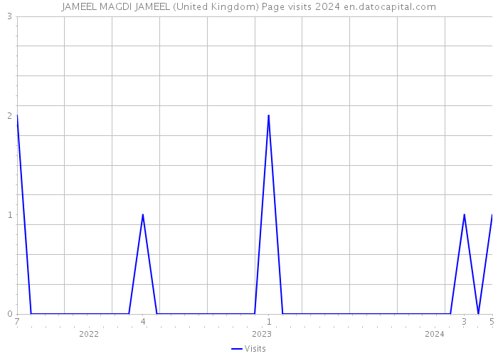 JAMEEL MAGDI JAMEEL (United Kingdom) Page visits 2024 
