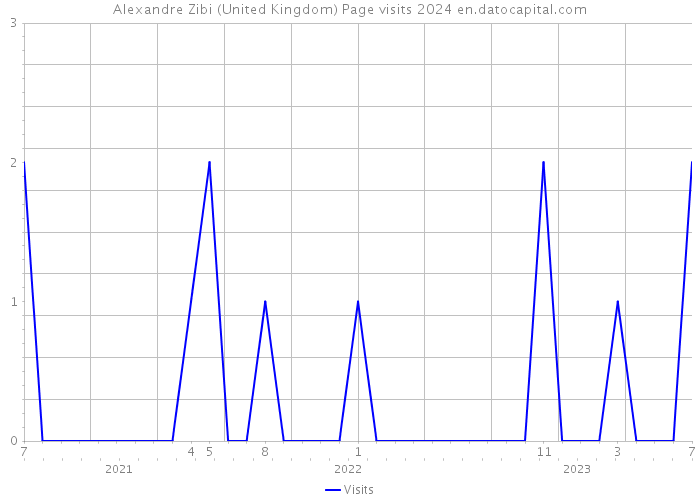Alexandre Zibi (United Kingdom) Page visits 2024 