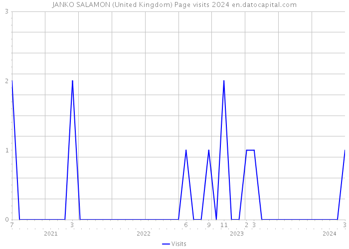 JANKO SALAMON (United Kingdom) Page visits 2024 