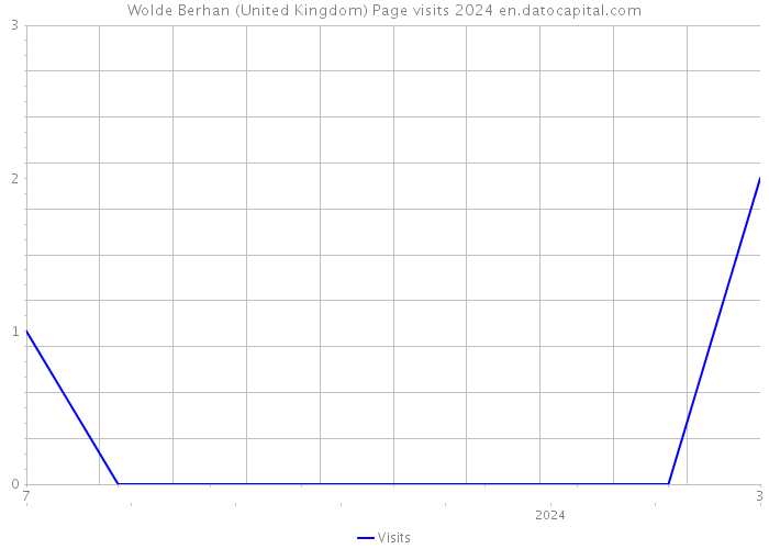 Wolde Berhan (United Kingdom) Page visits 2024 