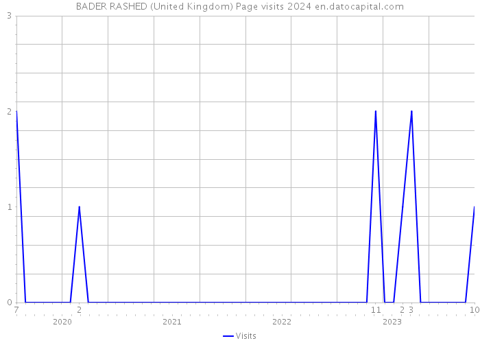 BADER RASHED (United Kingdom) Page visits 2024 