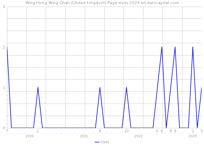 Wing Hong Wing Chan (United Kingdom) Page visits 2024 