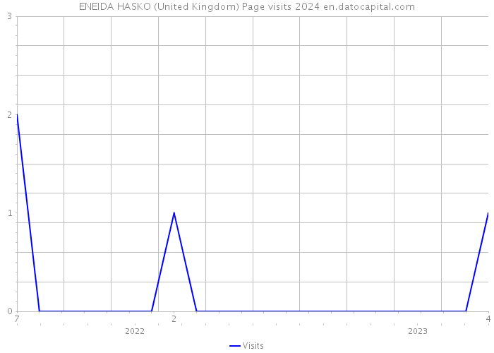 ENEIDA HASKO (United Kingdom) Page visits 2024 