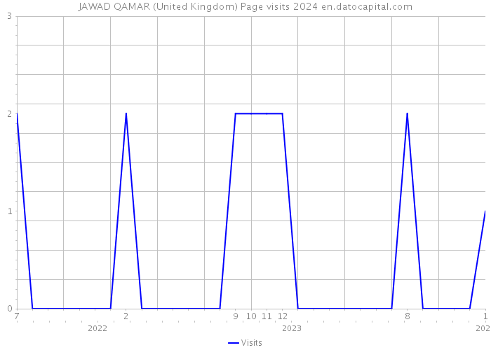 JAWAD QAMAR (United Kingdom) Page visits 2024 