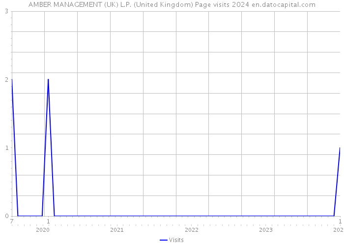 AMBER MANAGEMENT (UK) L.P. (United Kingdom) Page visits 2024 