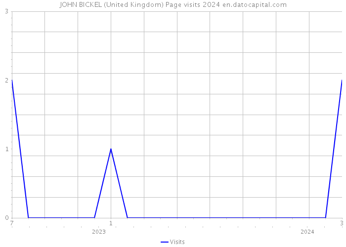 JOHN BICKEL (United Kingdom) Page visits 2024 