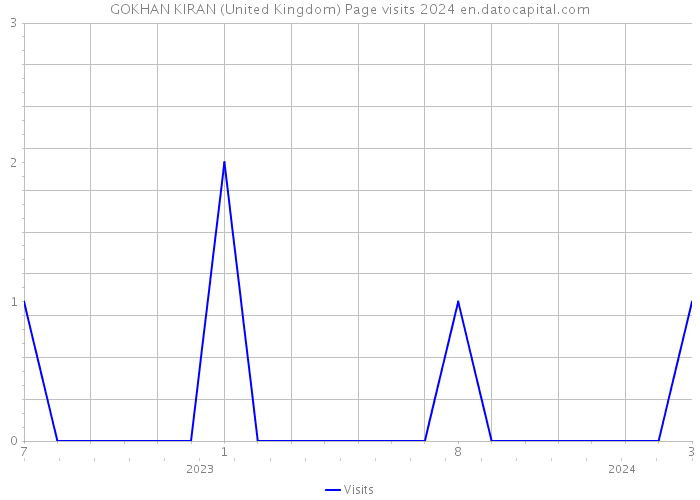 GOKHAN KIRAN (United Kingdom) Page visits 2024 