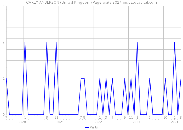 CAREY ANDERSON (United Kingdom) Page visits 2024 
