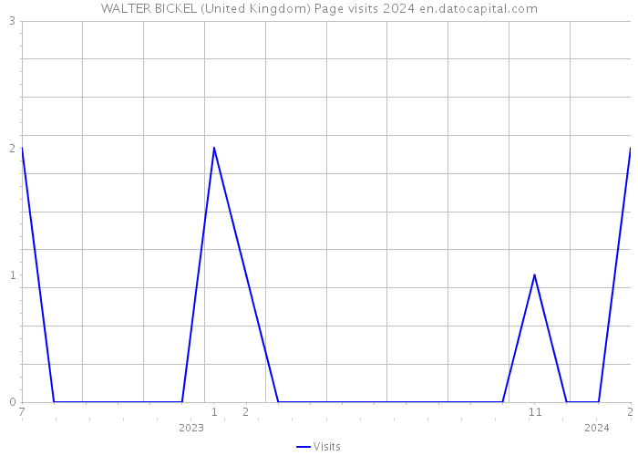 WALTER BICKEL (United Kingdom) Page visits 2024 