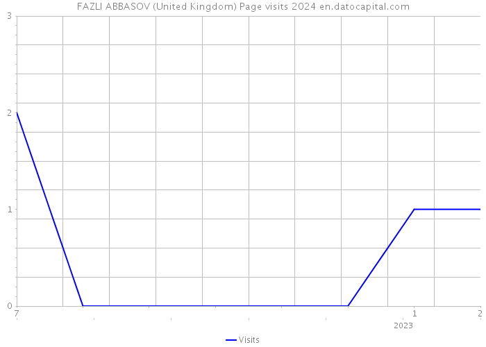 FAZLI ABBASOV (United Kingdom) Page visits 2024 