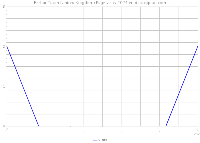 Ferhat Tutan (United Kingdom) Page visits 2024 