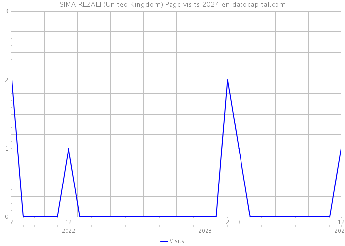 SIMA REZAEI (United Kingdom) Page visits 2024 