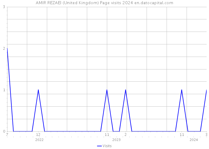 AMIR REZAEI (United Kingdom) Page visits 2024 