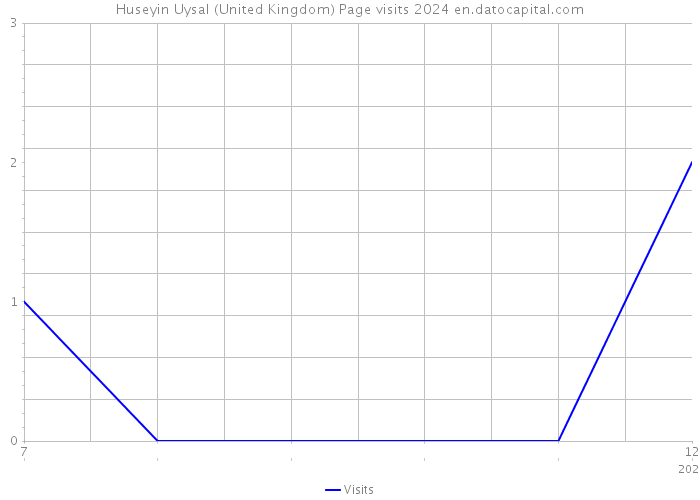 Huseyin Uysal (United Kingdom) Page visits 2024 