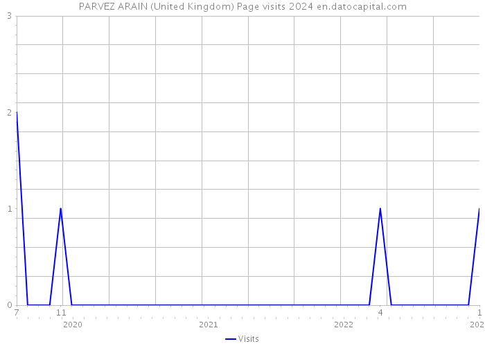 PARVEZ ARAIN (United Kingdom) Page visits 2024 