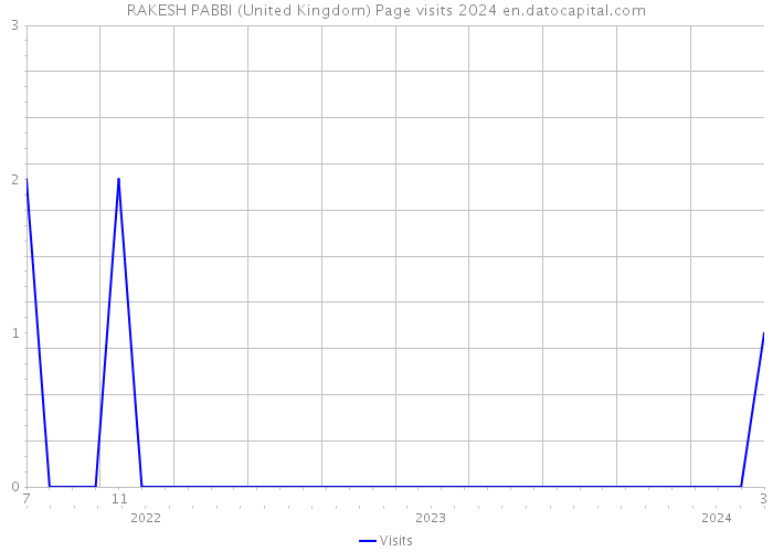 RAKESH PABBI (United Kingdom) Page visits 2024 