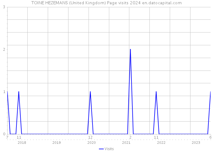 TOINE HEZEMANS (United Kingdom) Page visits 2024 