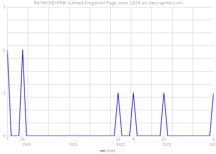 RAYMOND PINK (United Kingdom) Page visits 2024 