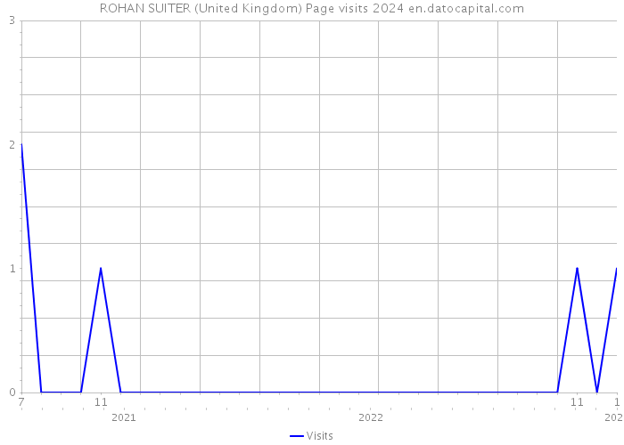 ROHAN SUITER (United Kingdom) Page visits 2024 