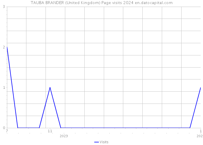 TAUBA BRANDER (United Kingdom) Page visits 2024 