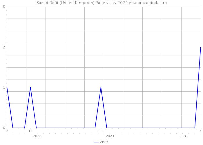 Saeed Rafii (United Kingdom) Page visits 2024 