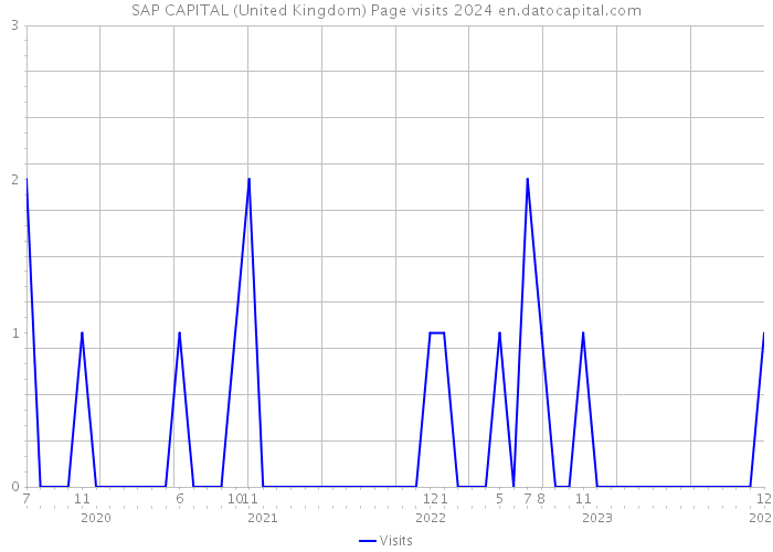 SAP CAPITAL (United Kingdom) Page visits 2024 