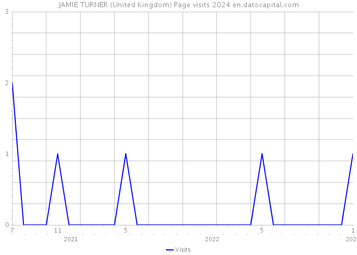 JAMIE TURNER (United Kingdom) Page visits 2024 