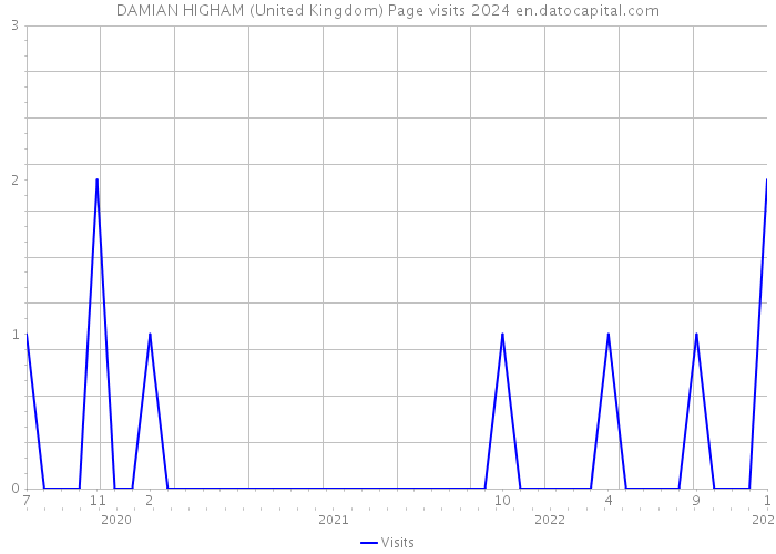 DAMIAN HIGHAM (United Kingdom) Page visits 2024 