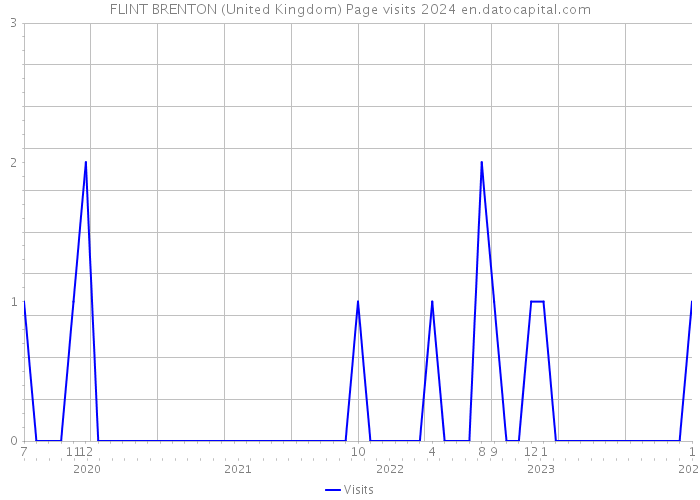 FLINT BRENTON (United Kingdom) Page visits 2024 