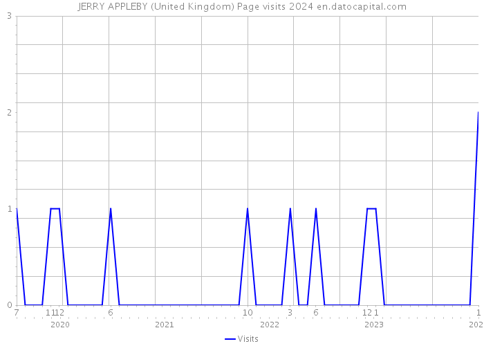 JERRY APPLEBY (United Kingdom) Page visits 2024 