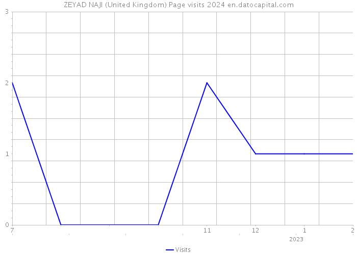 ZEYAD NAJI (United Kingdom) Page visits 2024 