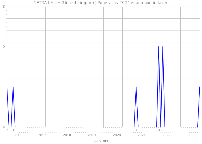 NETRA KALLA (United Kingdom) Page visits 2024 